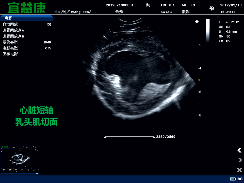 斑马鱼胚胎心脏功能的超声测定