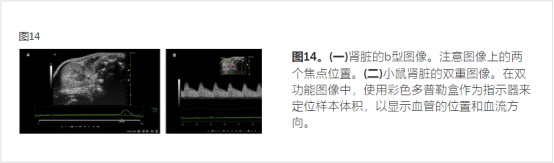 小动物手术器械