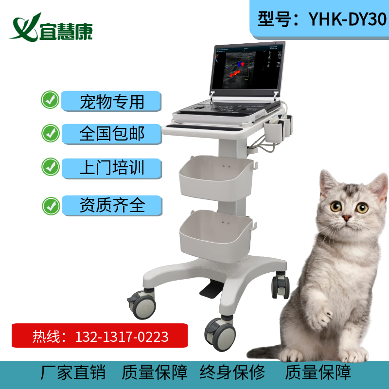 如何用超声给宠物卵巢做扫查？