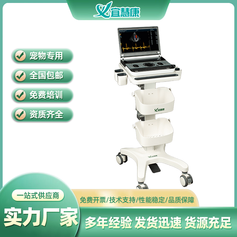 宠物心脏彩超