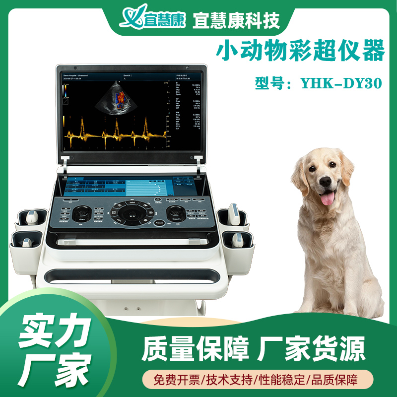 右侧胸骨旁长轴五腔心切面的扫查