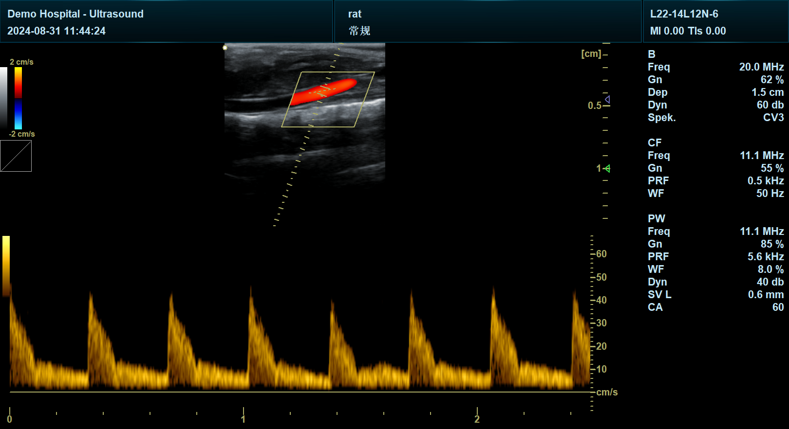 宜慧康超声扫查小鼠的血流影像 宜慧康超声扫查小鼠的血流影像
