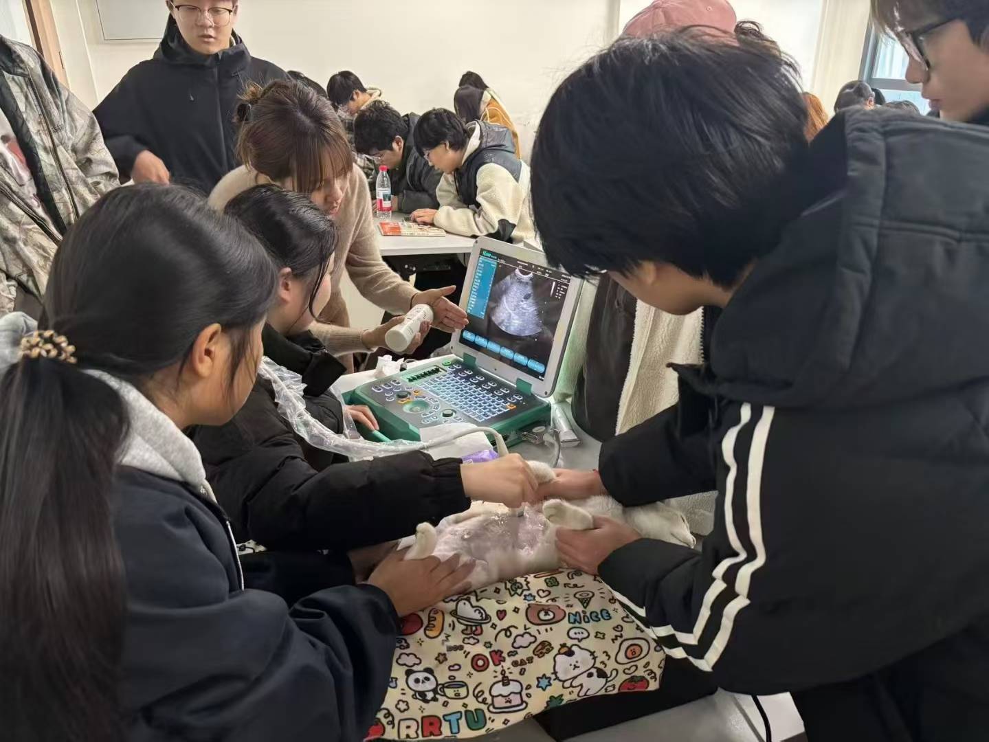 四川长江职业学院认购宜慧康宠物彩超 四川长江职业学院认购宜慧康宠物彩超