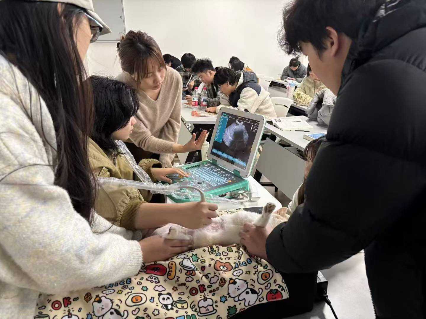 四川长江职业学院认购宜慧康宠物彩超 四川长江职业学院认购宜慧康宠物彩超