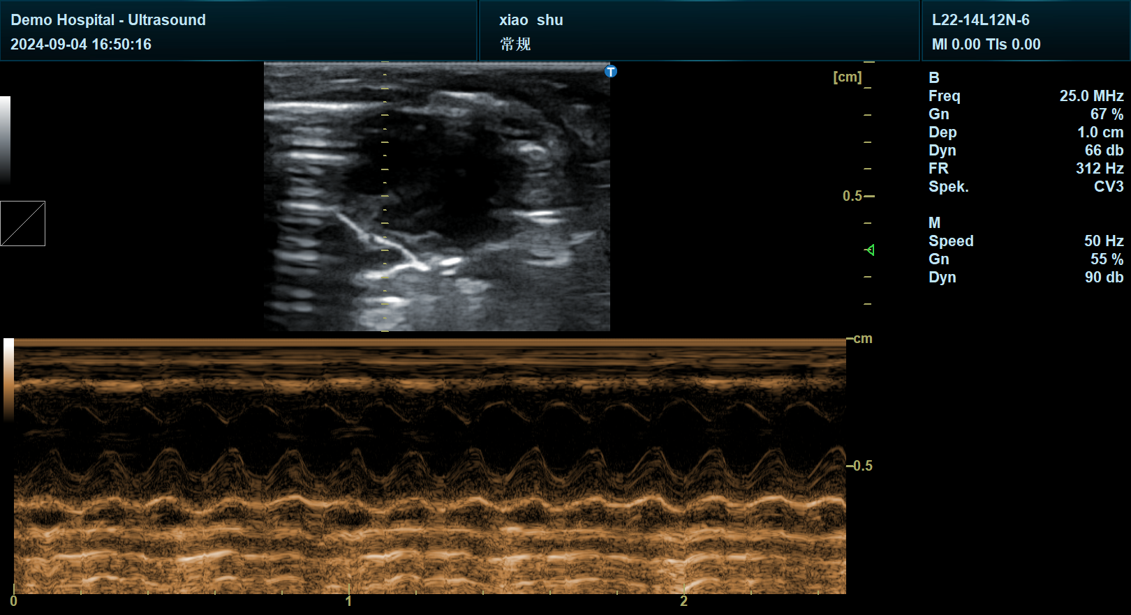 25g实验小鼠M型影像图片