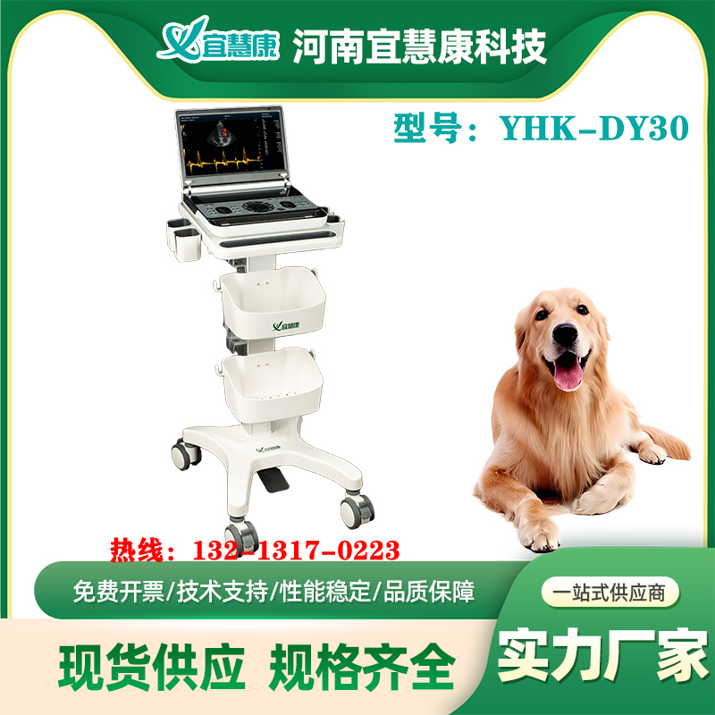 宜慧康YHK-DY30高端彩超